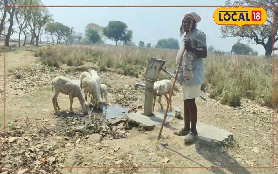 45 डिग्री में भी नहीं टूटता हौसला! 50 साल से जंगल में भेड़- बकरियां चरा रहे छतरपुर के ढुग्गू, जानें कहानी