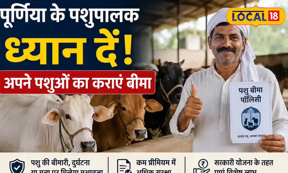 Animal Insurance: गाय-भैंस पालने वालों के लिए खुशखबरी! अब हादसे में मिलेगा ₹50 हजार तक का मुआवजा