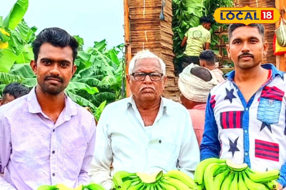 प्राइवेट नौकरी छोड़ किसान ने शुरू किया केले की खेती, हर साल कमा रहा लाखों, 15 लोगों को दे रहा रोजगार