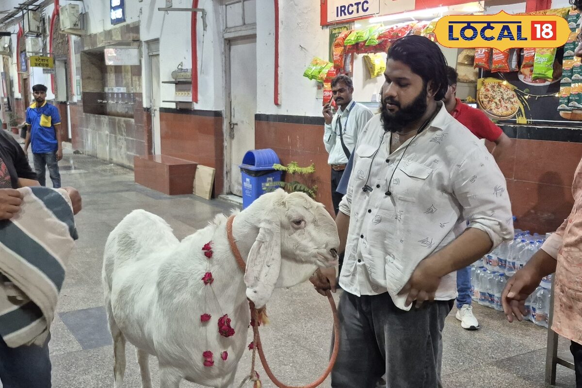 कोई फोटो खिंचवा रहा, तो पूछ रहा वजन… चंदौली में छाया 160 किलो का ये खास बकरा, जिस पर है हर किसी की नजर