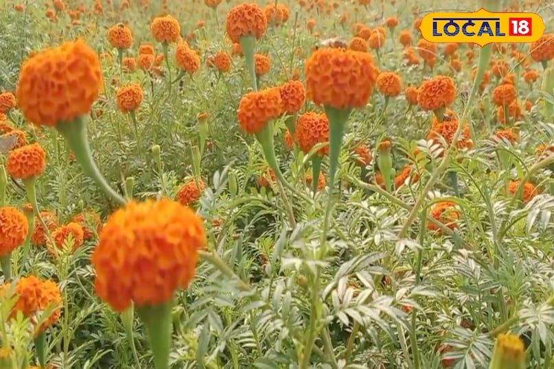 त्वचा के लिए लाभ त्वचा के लिए लाभ