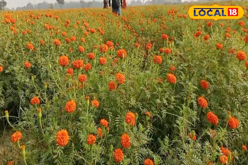 पेट रोग दूर पेट रोग दूर