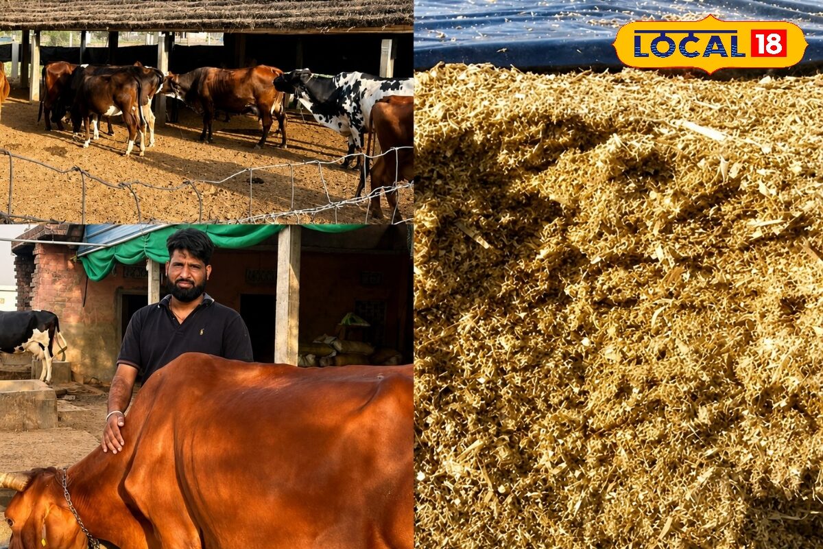 Agriculture Success Story: महंगी खाद-दवाइयों से परेशान, अपनाया देसी जुगाड़, किसान भी खुश, मुनाफा भी डबल
