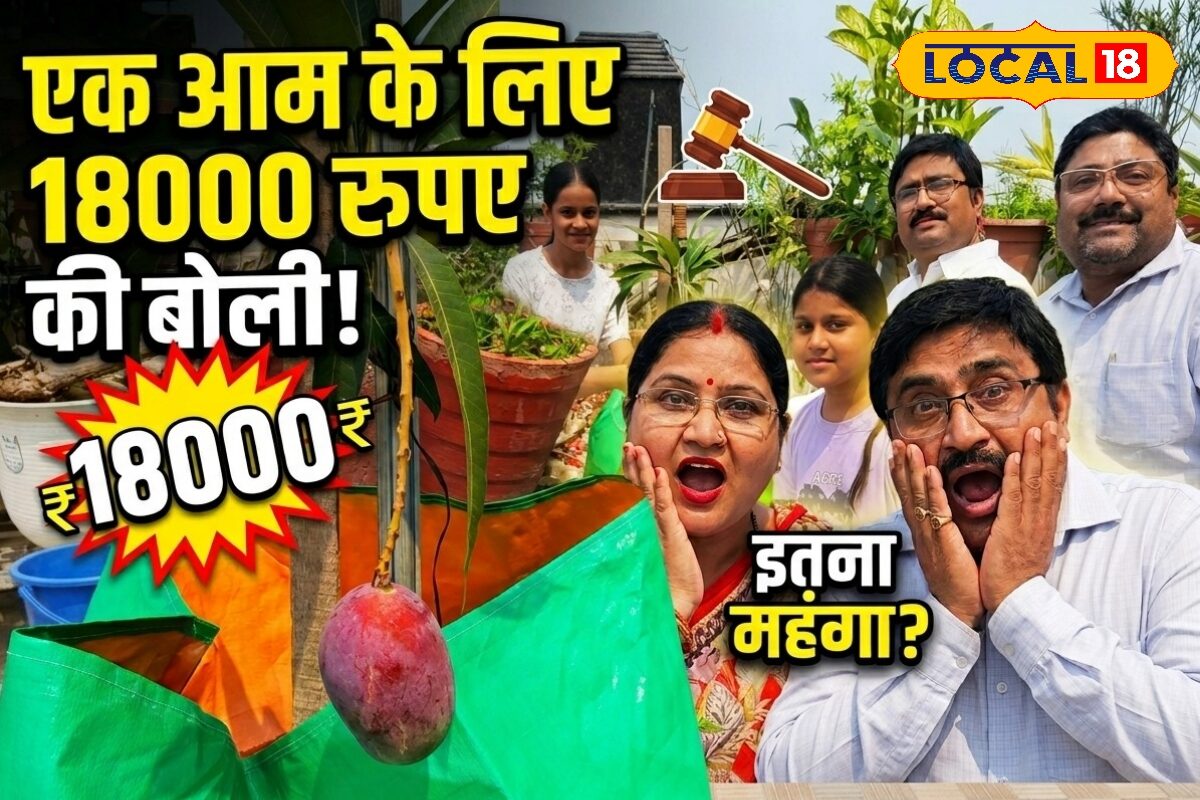 OMG! इस एक आम के लिए लगी 18 हजार तक की बोली, नाम है सूरज का अंडा, आपने देखा क्या?