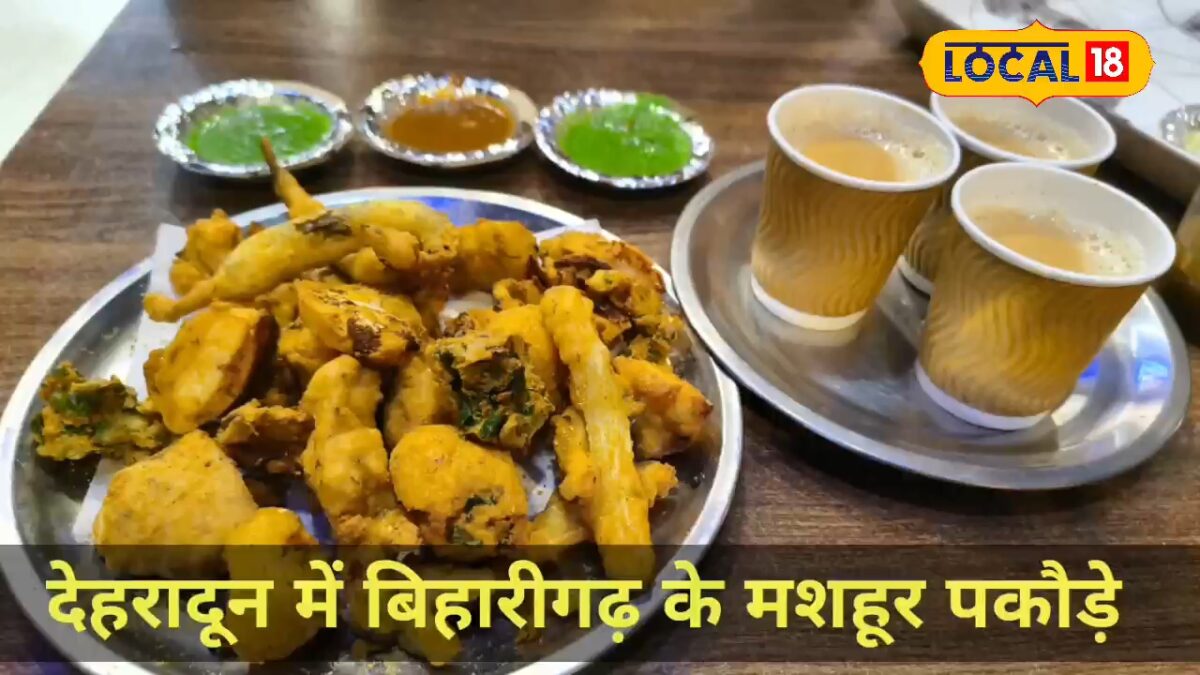 आप भी मिस कर रहे बिहारीगढ़ के पकौड़े? दिल्ली-देहरादून एक्सप्रेसवे पर ही मिलेगा गरमा गरम