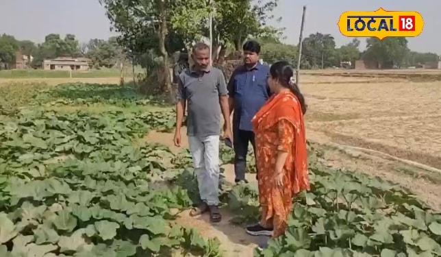 8 हजार लगाकर कमाना है 60 हजार का मुनाफा, तो करें इस सब्जी की खेती और बन जाएं मालामाल