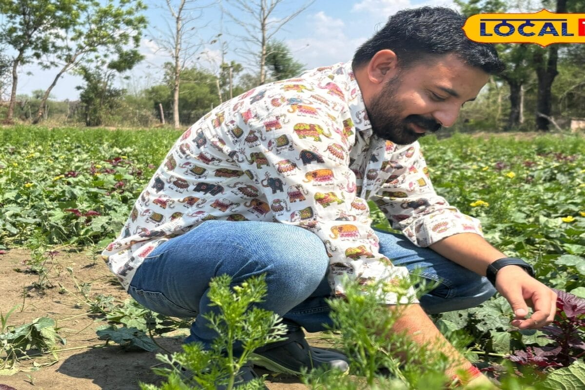जून में किसान करें इन सब्जियों की खेती, कुछ दिनों में बन जाएंगे लखपति, एक्सपर्ट से जानें ये खास टिप्स