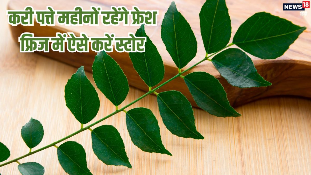 How to store curry leaves fresh: करी पत्ते को महीनों फ्रेश रखने के देसी नुस्खे