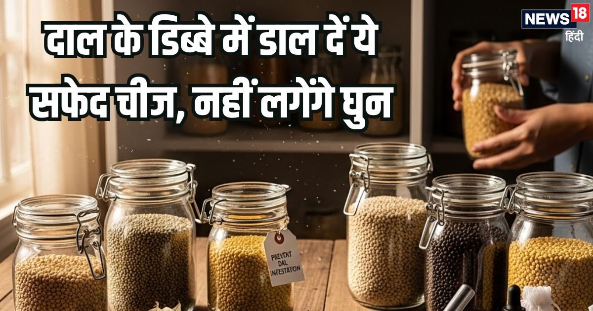 दाल के डिब्बे में डाल दें 1 चम्मच ये सफेद चीज, नहीं लगेंगे घुन कीड़े, महीनों रहेगी फ्रेश