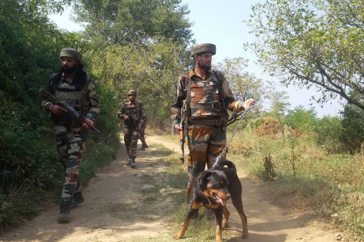 सेना ने जंगल बिछाया 'मौत का जाल'; घेरे में जैश-लश्कर के खूंखार आतंकी, घाटी में खुदेगी 'जिहादियों' की कब्र!