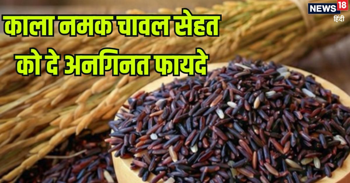 ‘काला नमक राइस’ के आगे हर वेरायटी है फेल, एक-एक दाने में सेहत का खजाना, जबरदस्त हैं फायदे
