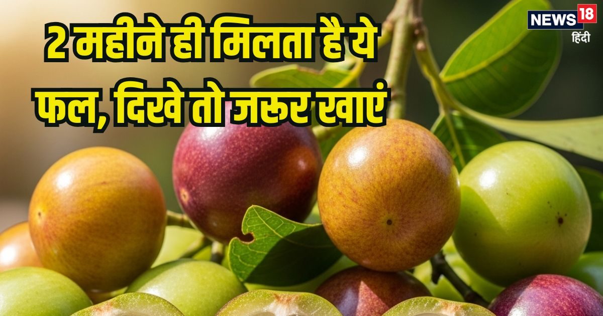 साल में बस 2 ही महीने मिलता है ये फल, बना सकते हैं अचार, चटनी, सब्जी, कई रोगों के लिए काल!