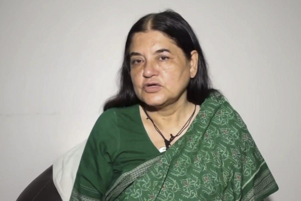 'सुप्रीम कोर्ट ने तो इस गंभीर मामले से अपने हाथ ही धो लिए', आवारा कुत्तों पर फैसले से क्यों भड़कीं मेनका गांधी?