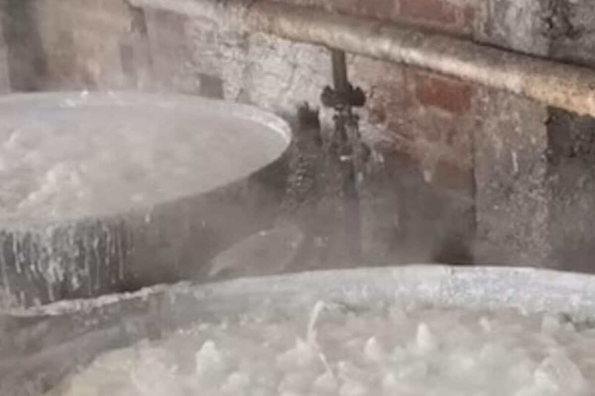 Video: क्या आपने खाई है सब्जी वाली मिठाई? 4 दिन की मेहनत के बाद बनती, खरीदने के लिए मचती लूट