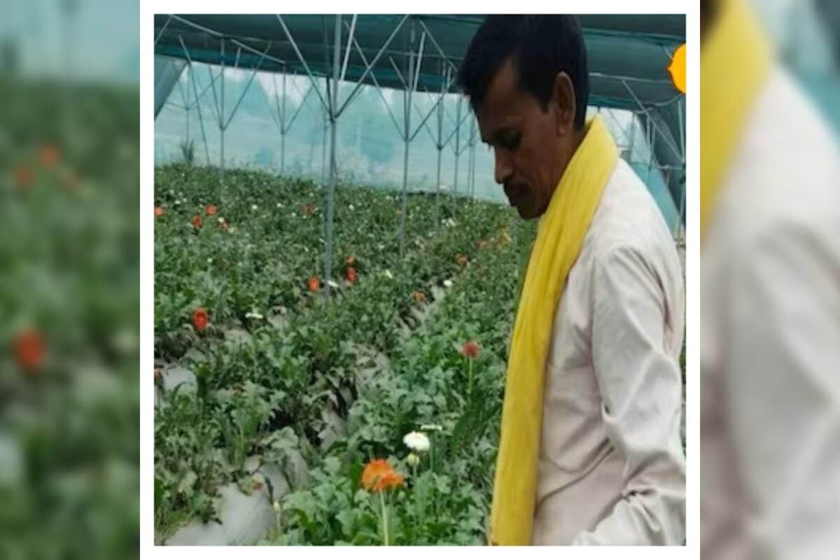 Video: सिर्फ 4थी पास हैं टुनटुन पंडित, मात्र 4 कट्ठा सालाना छाप रहे ₹4 लाख, संघर्ष ऐसा कि रो पड़ेंगे आप