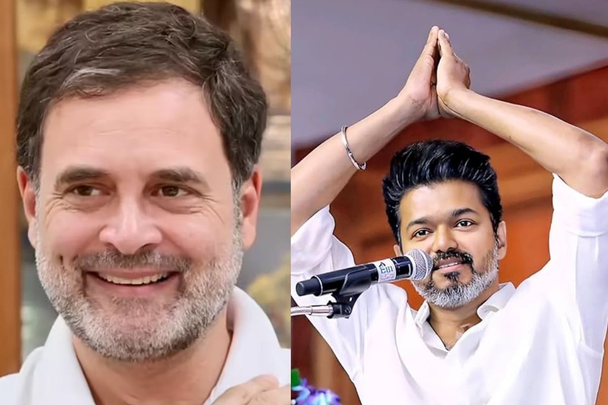 तमिलनाडु में किंगमेकर कौन? नतीजों के बाद राहुल गांधी ने विजय को किया फोन, क्या कांग्रेस देगी समर्थन