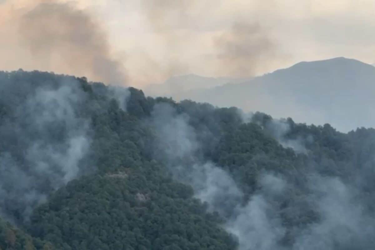 Operation Sheruwali: आतंक‍ियों पर इतनी दागी गोल‍ियां क‍ि जंगल धुआं- धुआं, राजौरी से आई तस्‍वीरें हैं गवाह