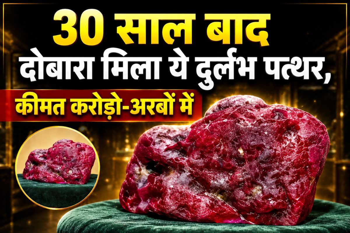 खुदाई में अचानक आने लगी 'खट-खट' की आवाज, मिट्टी हटाते ही दिखा 'लाल खजाना', रातों-रात चमक गई किस्मत!