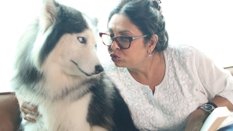 Shefali Shah , Shefali Shah advice on marriage and children, Shefali Shah advice for young women, Shefali Shah says Do not have children have dogs, शेफाली शाह, शादी और बच्चों पर शेफाली शाह की सलाह, युवा महिलाओं के लिए शेफाली शाह की सलाह, शेफाली शाह कहती हैं कि बच्चे मत पालो, कुत्ते पालो