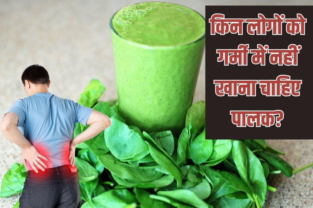 गर्मी में पालक खाना चाहिए या नहीं? इन दो तरह के लोगों के लिए 'टॉक्सिन' से कम नहीं