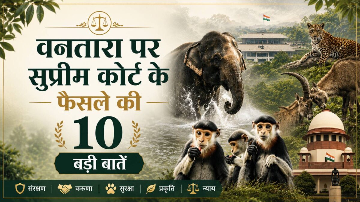 सत्यमेव जयते! वनतारा को सुप्रीम कोर्ट से मिली बड़ी जीत, जानिए फैसले की 10 बड़ी बातें सत्यमेव जयते! वनतारा को सुप्रीम कोर्ट से मिली बड़ी जीत, जानिए फैसले की 10 बड़ी बातें