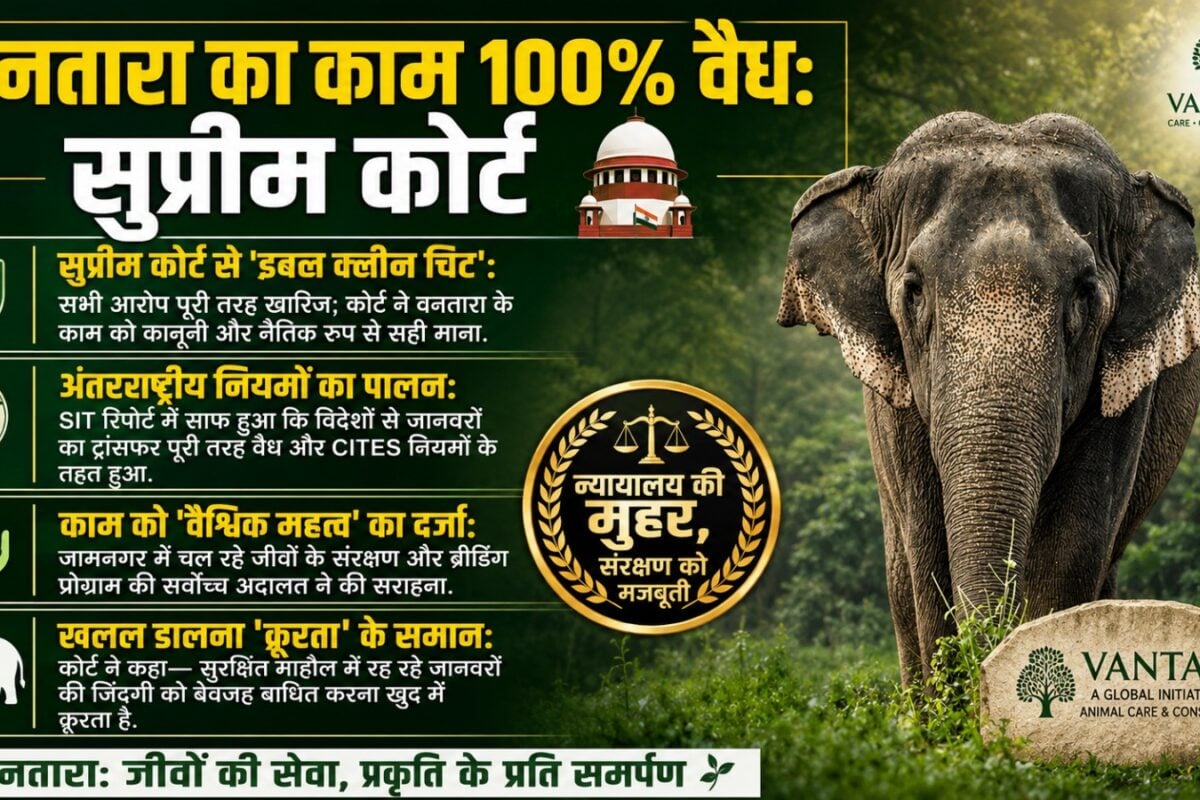 वनतारा ने सुप्रीम कोर्ट के फैसले का क‍िया स्‍वागत, CEO बोले- यह फैसला सच्चाई की दोबारा जीत