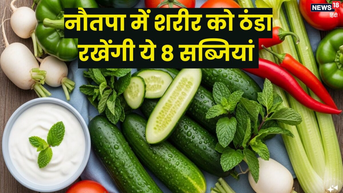 नौतपा में खाएं ये 8 सब्जियां, तासीर में होती हैं ठंडी, शरीर रहेगा ठंडा, नहीं लगेगी लू