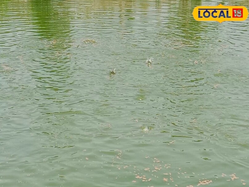 इस किसान ने तालाब को बना दिया ‘नोट छापने की मशीन’, एक खर्च में कर रहा ...