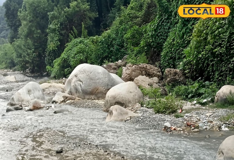 गर्मियों के दिनों में थ्रिल, एडवेंचर और नेचर को करीब से देखने के लिए गुच्छूपानी एक शानदार जगह है. यहां एक नेचुरल केव है जिसके बीच से ठंडे पानी की धारा बहती है.बच्चों को पानी के बीच से गुफा के अंदर चलना किसी जादुई सफर जैसा लगता है. गुफा के अंत में एक छोटा झरना है जो बच्चों को बहुत रोमांचित करता है. जहाँ की भौगोलिक संरचना बच्चों को भू-विज्ञान के बारे में कौतूहल पैदा करती है कि कैसे वक्त के साथ पानी ने चट्टानों को काटकर यह रास्ता बनाया होगा. गर्मियों की तपिश से बचने के लिए यह देहरादून की सबसे ठंडी और मजेदार जगहों में से एक है.