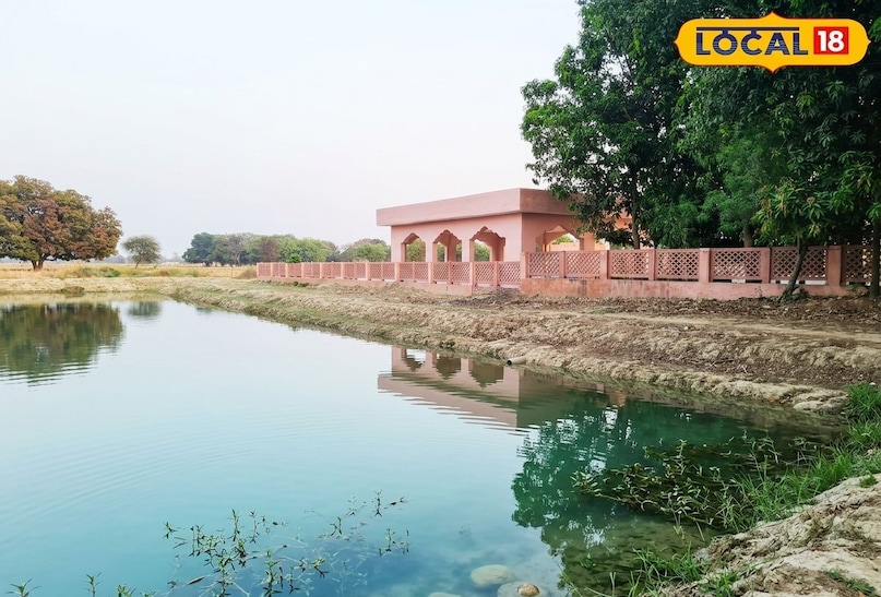 अगर आप प्राकृतिक वातावरण का आनंद लेना चाहते हैं तो समनाभर गांव का या टूरिस्ट प्लेस काफी बेहतर और आकर्षक है यहां पर कई तरह के फलदार वृक्ष लगाए गए हैं जो न सिर्फ लोगों को छाया प्रदान करते हैं बल्कि गर्मी के इस मौसम में ठंडक भी देते हैं और उसके साथ ही फल भी लोगों को उपलब्ध कराते हैं बगल बना तालाब फलदार वृक्ष और सूर्य की किरणें इस स्थल में और चार चांद लगा देती हैं. अगर आप प्राकृतिक वातावरण का आनंद लेना चाहते हैं तो समनाभर गांव का या टूरिस्ट प्लेस काफी बेहतर और आकर्षक है यहां पर कई तरह के फलदार वृक्ष लगाए गए हैं जो न सिर्फ लोगों को छाया प्रदान करते हैं बल्कि गर्मी के इस मौसम में ठंडक भी देते हैं और उसके साथ ही फल भी लोगों को उपलब्ध कराते हैं बगल बना तालाब फलदार वृक्ष और सूर्य की किरणें इस स्थल में और चार चांद लगा देती हैं.