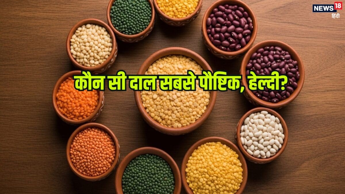 मूंग, मसूर, चना या अरहर दाल, किसमें होता है ज्यादा प्रोटीन, कौन अधिक फायदेमंद?