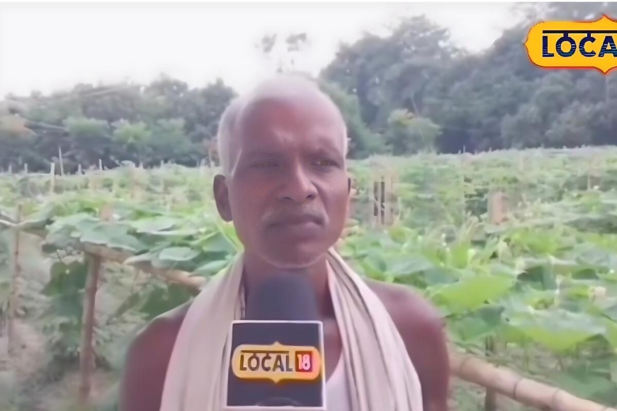 Agri Tips: 10 कट्ठा जमीन से 5.50 लाख की कमाई! फसल रोटेशन बना मुनाफे का सौदा, जानें खेती का माइक्रो-मॉडल