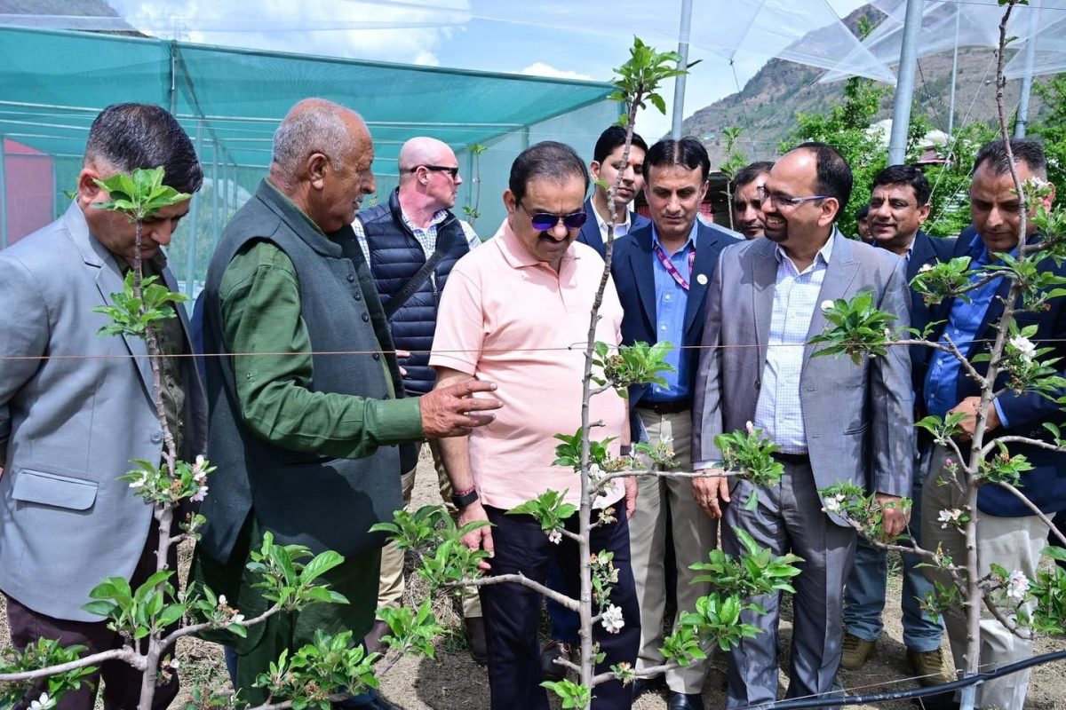 हिमाचल के बागवानों के लिए उद्योगपति अडाणी का बड़ा ऐलान, सेब के बाद अब चेरी भी खरीदेगी कंपनी