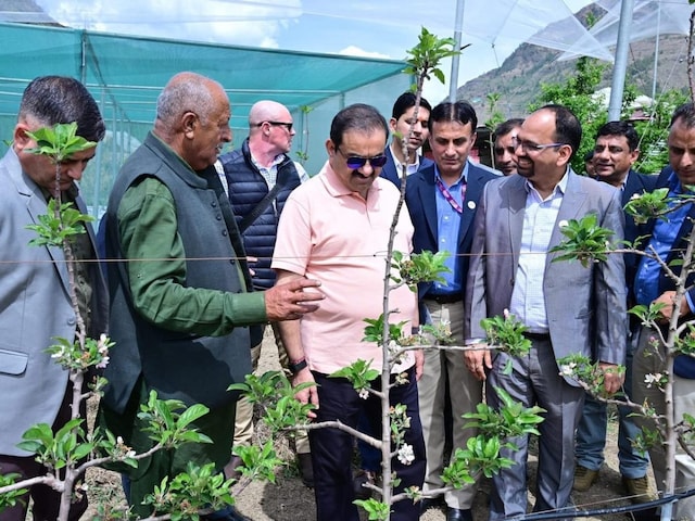 हिमाचल के बागवानों के लिए उद्योगपति अडाणी का ऐलान, अब चेरी भी खरीदेंगे