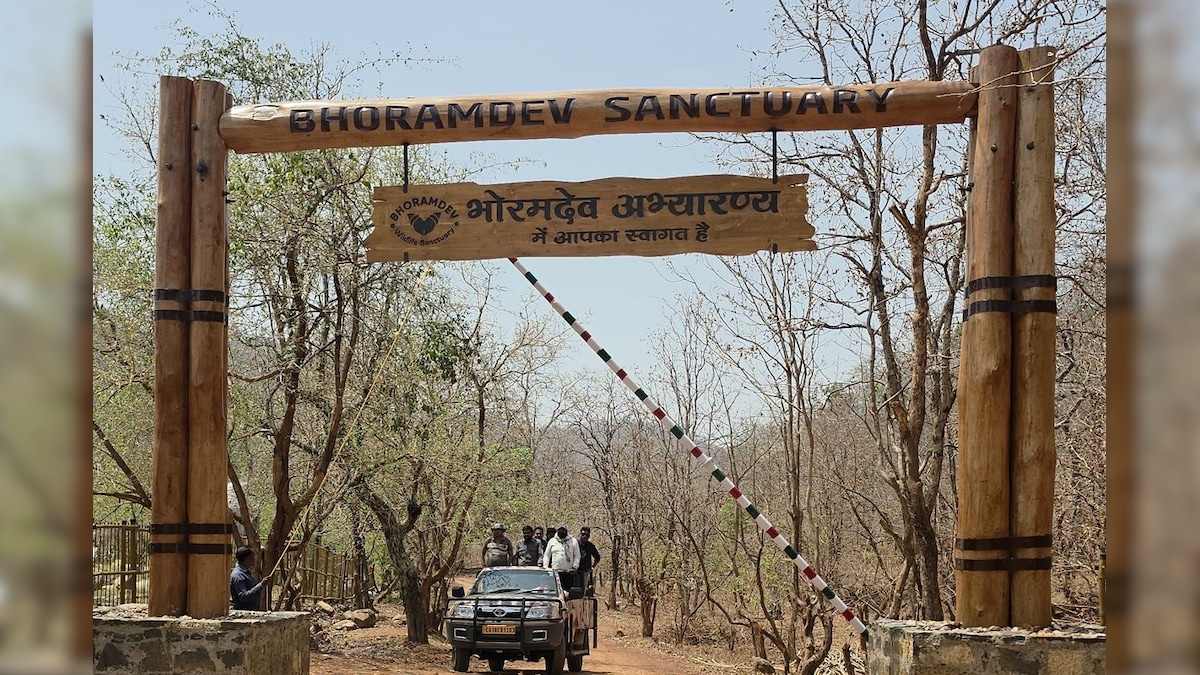 छत्तीसगढ़के भोरमदेव में जंगल सफारी: पहाड़, झरना, वाइल्ड लाइफ का फुल एडवेंचर