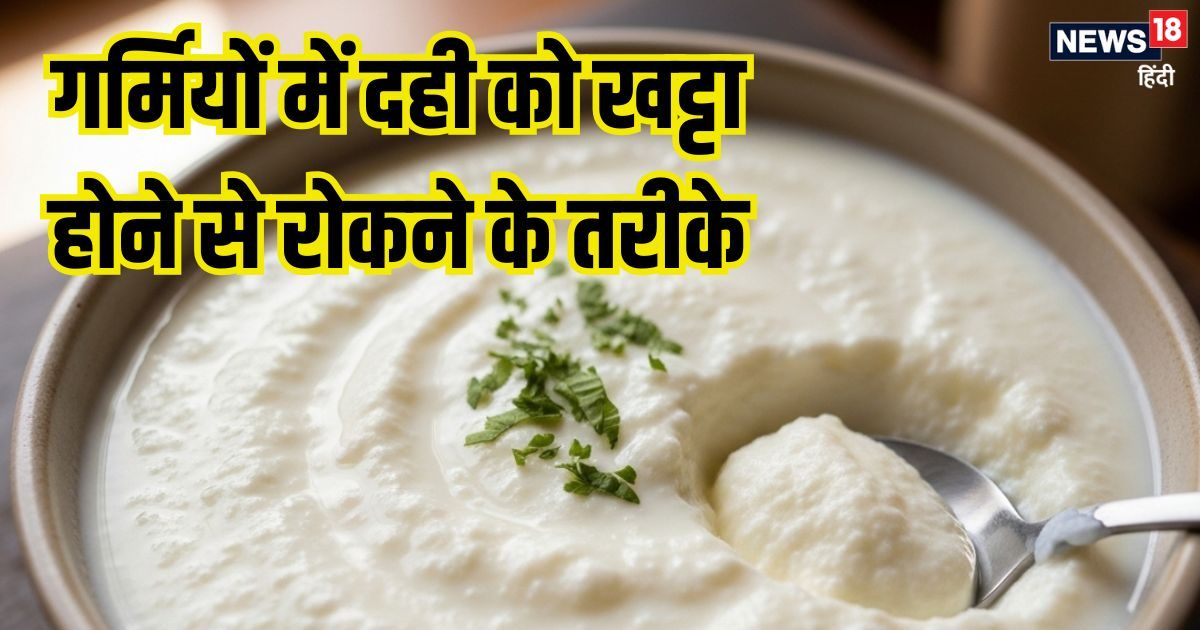 गर्मी में दही 1 दिन में खट्टा क्यों हो जाता है? खट्टेपन को कंट्रोल करने के लिए करें ये काम