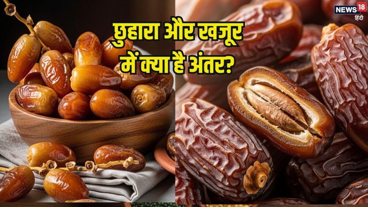खजूर और छुहारे में क्या होता है अंतर, क्या दोनों एक हैं? किन्हें खाने से परहेज करना चाहिए