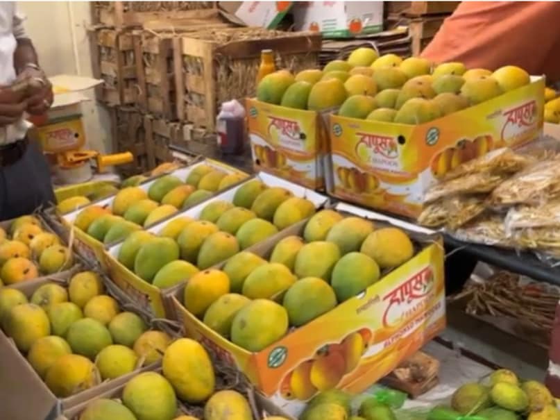 hapus mango