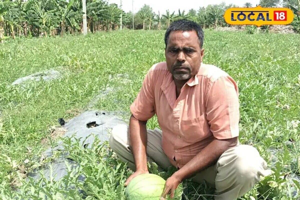 Video: किसान का 'जन्नत' मॉडल! 3 महीने की मेहनत और 3 लाख का मुनाफा, केवाल मिट्टी में तरबूज की बंपर पैदावार
