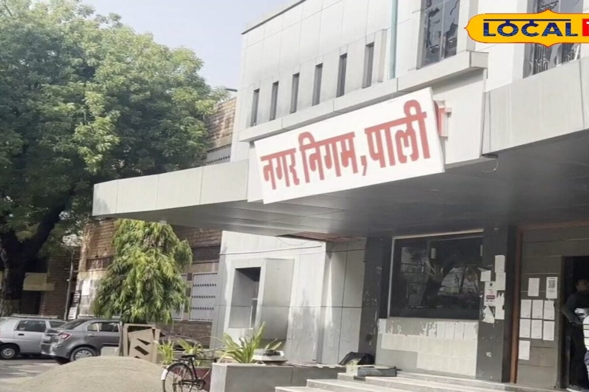 Pali News: अब ठेले वाले भी बनेंगे डिजिटल! सरकार दे रही ब्याज में सीधी छूट, जानें कैसे करें आवेदन
