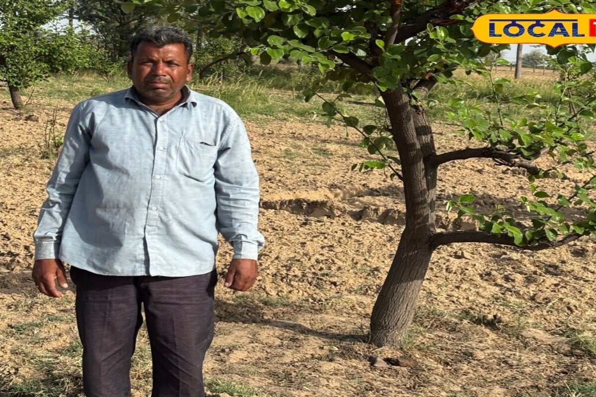 पारंपरिक खेती छोड़े... खारे पानी में उगाए बेर, किसान ने कर दिखाया कमाल! अनोखे खेती मॉडल से दोगुनी हुई आय
