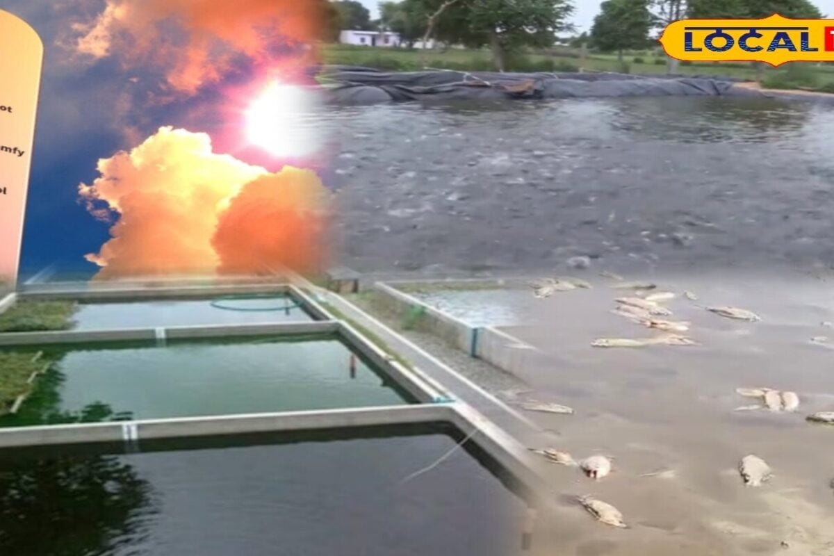 Fish Farming Tips: गर्मियों में मछलियां क्यों हो रही बीमार? जानें तालाब में ऑक्सीजन की कमी से बचाने के उपाय