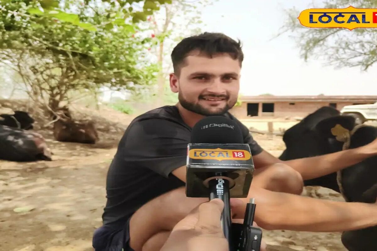 Success story: अकाउंटेंट की नौकरी छोड़ इस युवा ने पशु पालन से बदली जिंदगी, अब रोजाना होती है तगड़ी कमाई