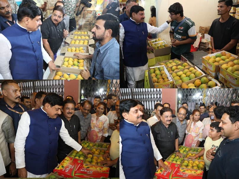 mohan yadav indore hapus mango