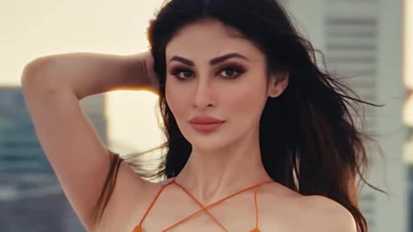 Mouni Roy Divorce-