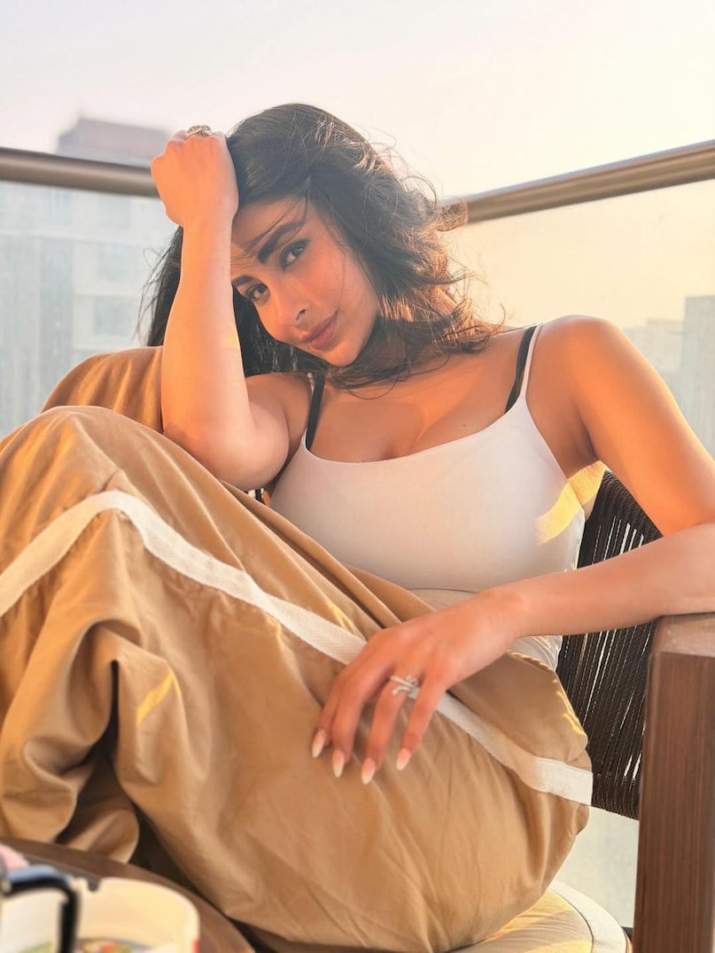 Mouni Roy Divorce