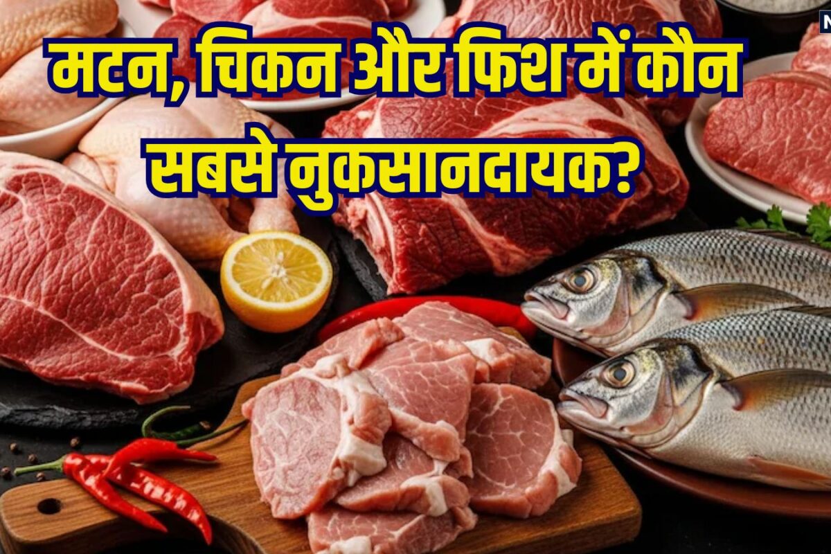 मटन, चिकन और फिश में क्या खाना है ज्यादा नुकसानदायक? नॉनवेज लवर जान लें इन्हें खाने, पकाने का सही तरीका