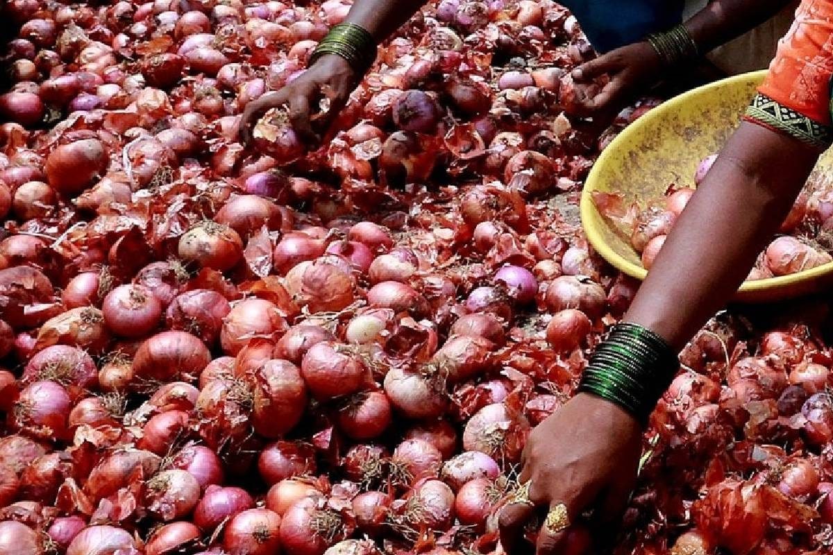 अब रुलाएगी प्याज! नासिक से आई बुरी खबर, दुखी किसान ने दिखाया बिल तो बढ़ गई चिंता