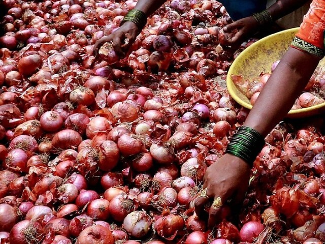 देश में फिर प्याज संकट की आहट? नासिक से आई बुरी खबर, एक ब‍िल से बढ़ गई च‍िंता