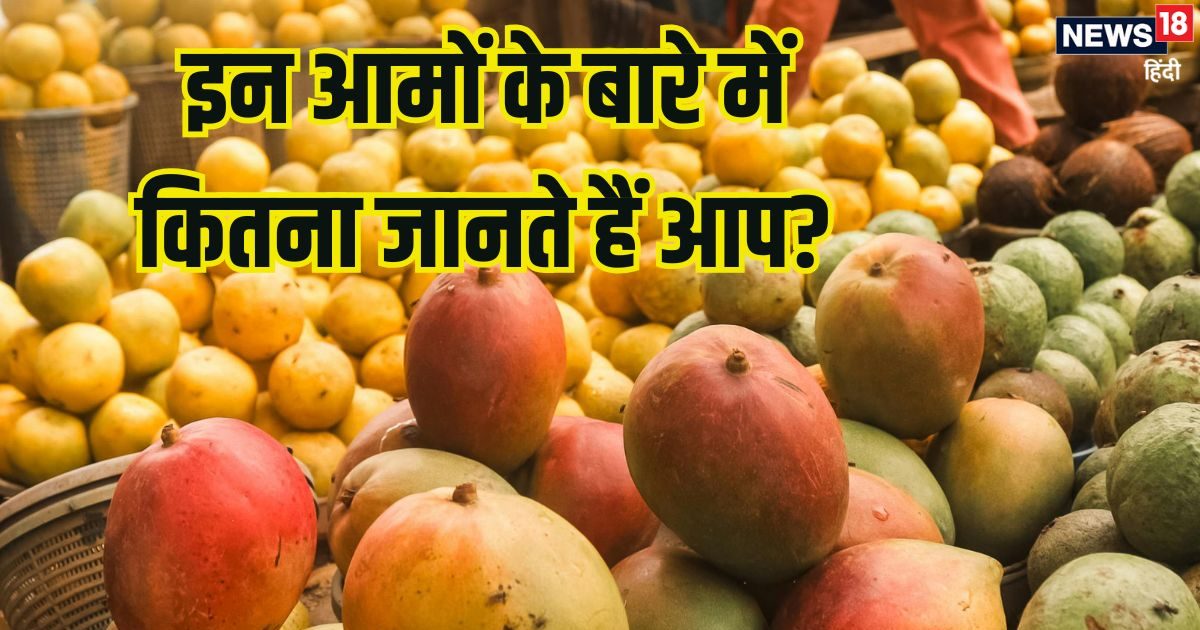 नूर जहां, लक्ष्मणभोग से लेकर इमाम पसंद का नाम सुना है? ये हैं देश के रेयर आम, जानें लाभ
